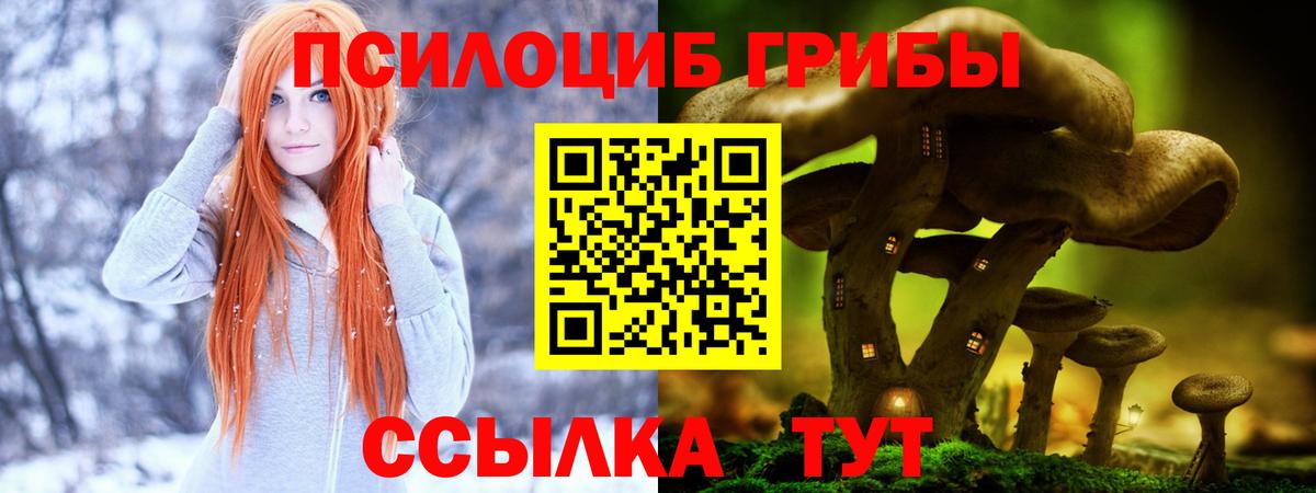 Чернушка  Псилоцибиновые грибы мицелий  Вход с VPN  Псилоцибиновые грибы ЛСД 