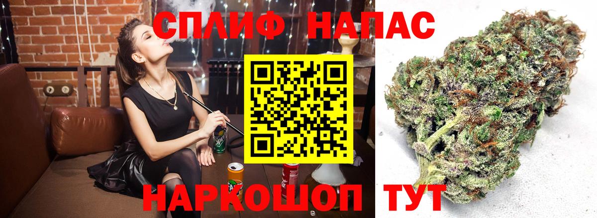 Бошки Шишки планчик Чернушка